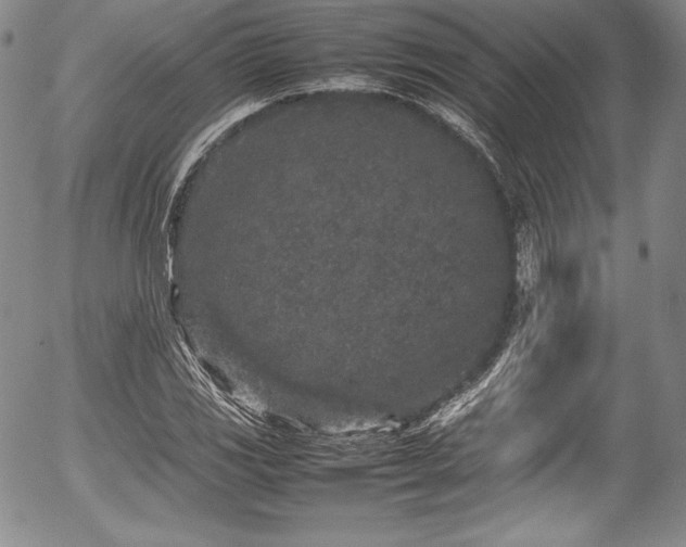 X0000054371117200508011213