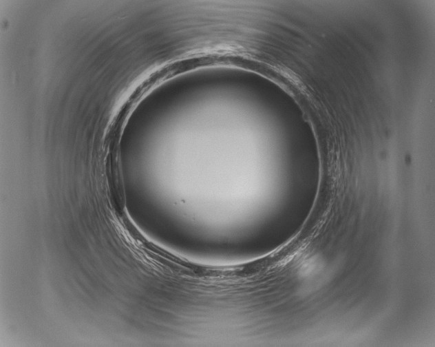 X0000054371118200508011213