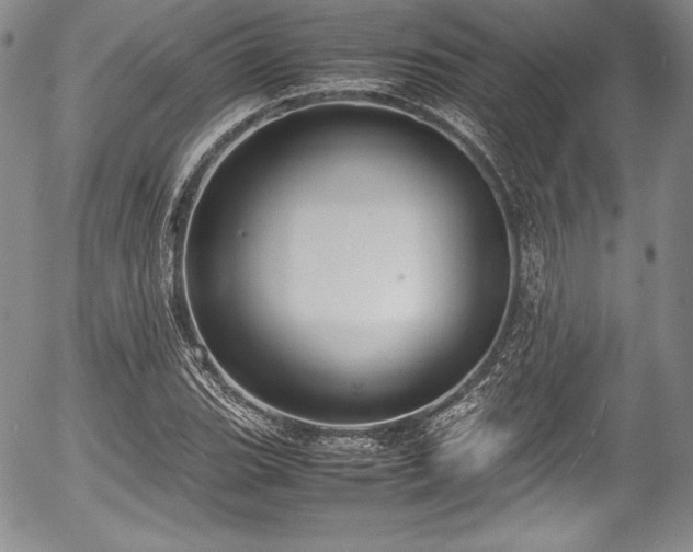 X0000054371119200508011213