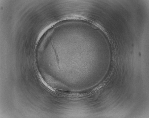 X0000054371120200508011213