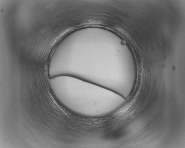 X0000054371121200508011213