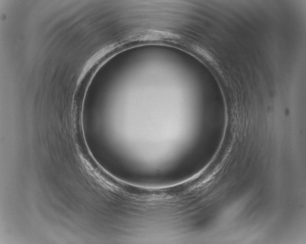 X0000054371122200508011213