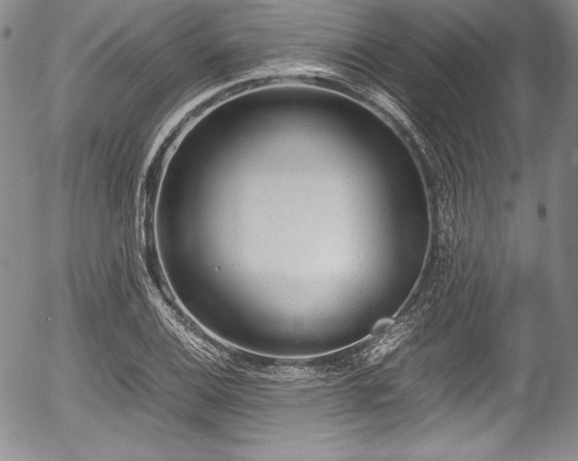 X0000054371124200508011213