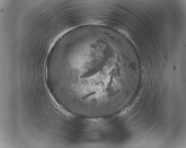 X0000054371125200508011213