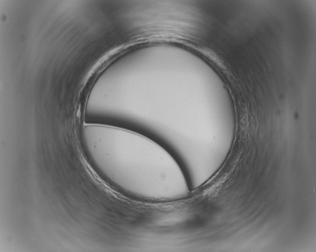 X0000054371126200508011213