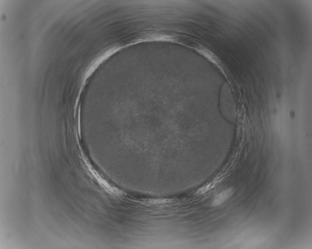 X0000054371127200508011213