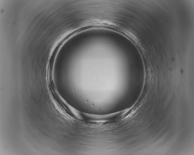 X0000054371128200508011213