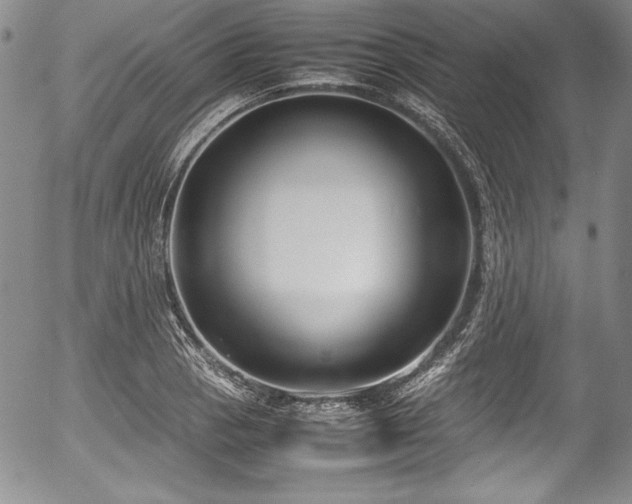 X0000054371129200508011213