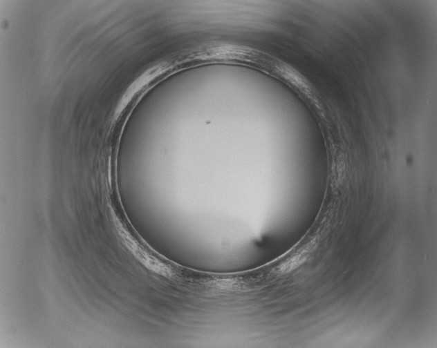 X0000054371130200508011213