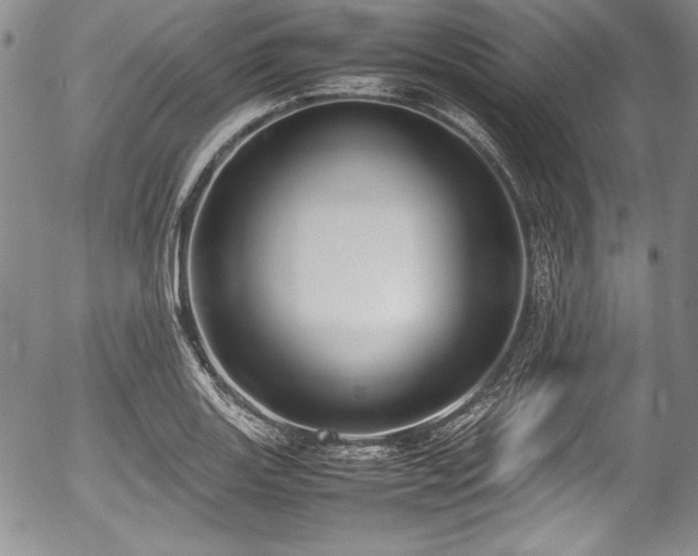 X0000054371131200508011213