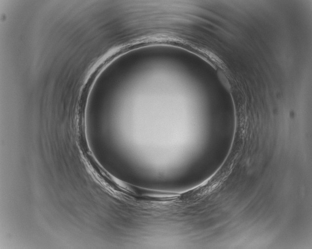 X0000054371134200508011213