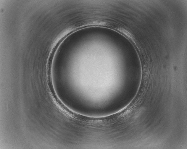 X0000054371135200508011213