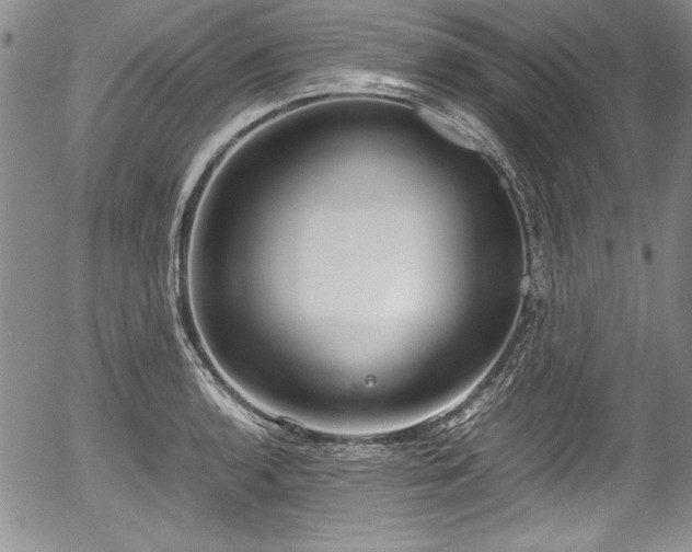 X0000054371136200508011213