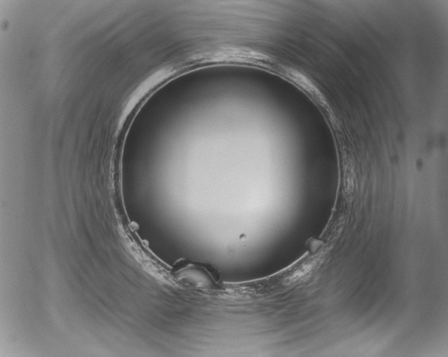 X0000054371138200508011213