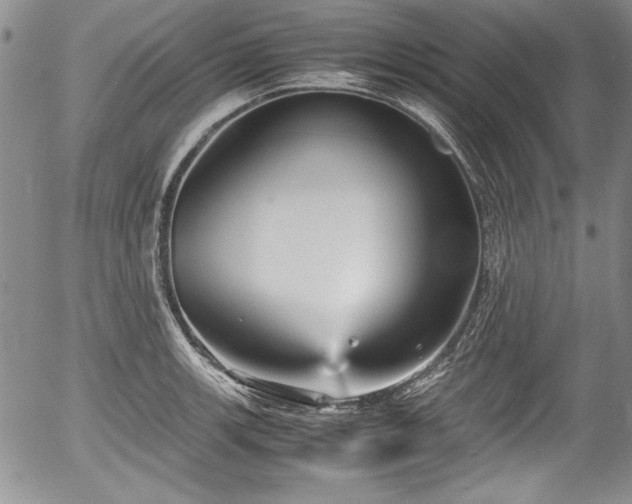 X0000054371139200508011213