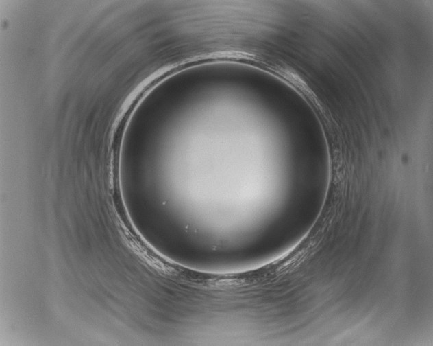 X0000054371140200508011213