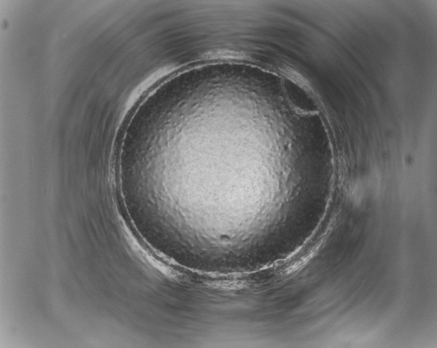 X0000054371141200508011213