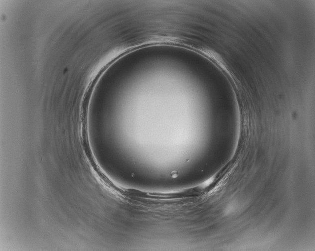 X0000054371143200508011213