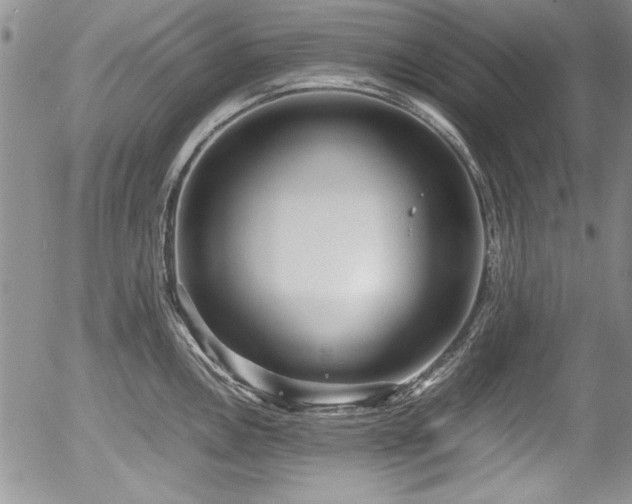 X0000054371146200508011214