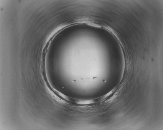 X0000054371147200508011214