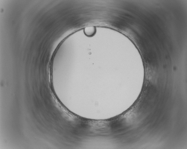 X0000054371150200508011214