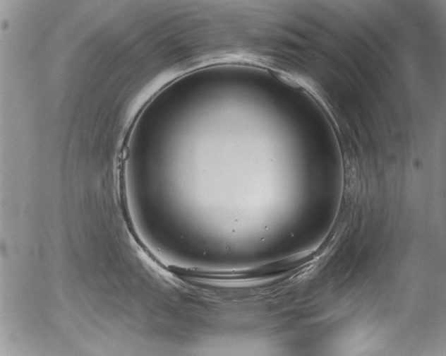 X0000054371151200508011214