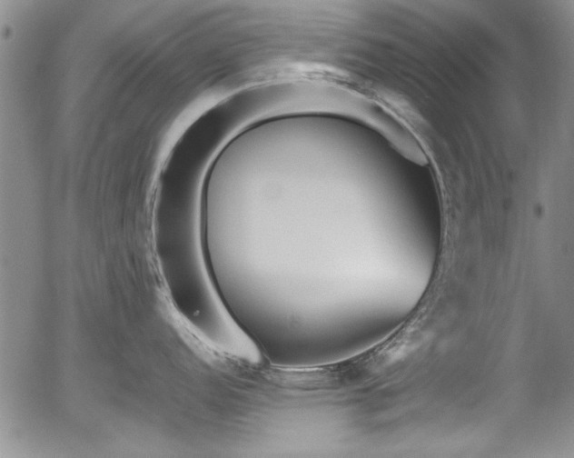 X0000054371152200508011214