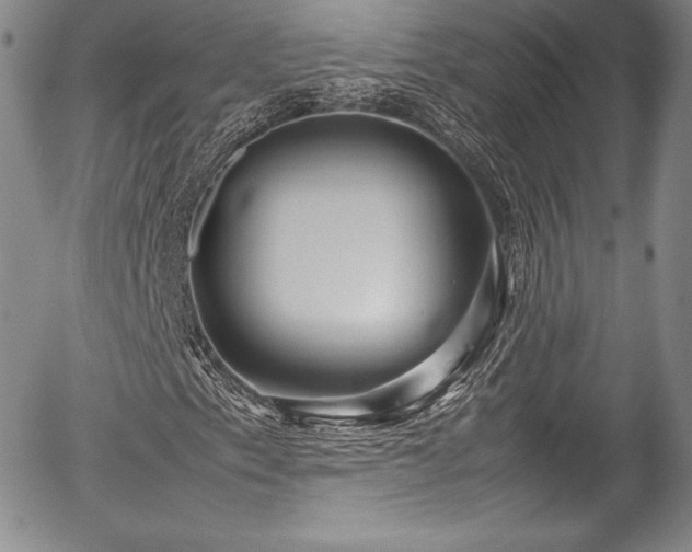 X0000054371153200508011213