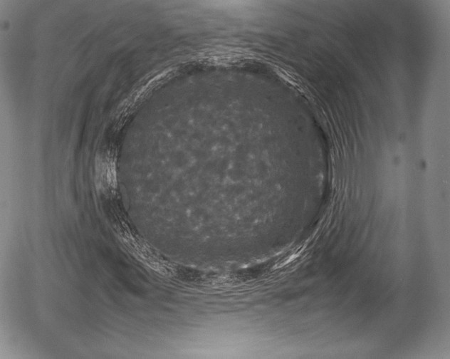 X0000054371155200508011213