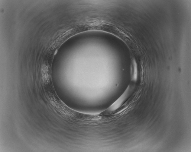 X0000054371156200508011213