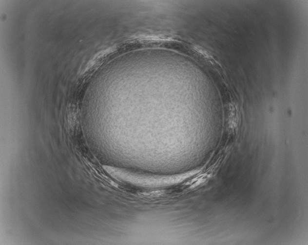 X0000054371157200508011213