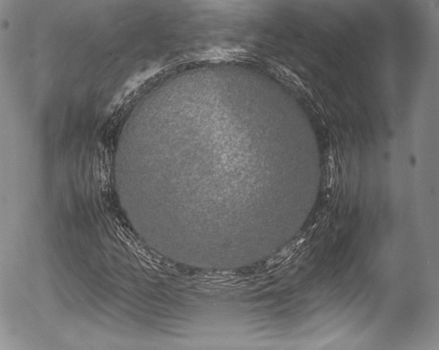 X0000054371158200508011213