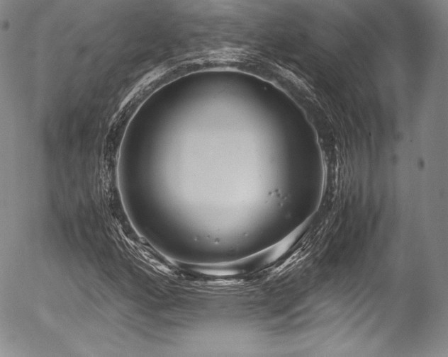 X0000054371160200508011213