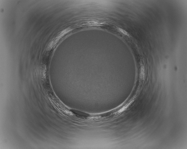 X0000054371161200508011213