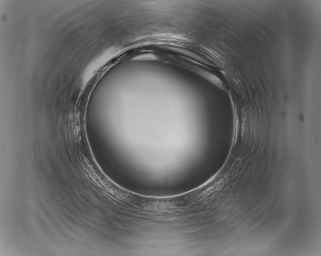 X0000054371164200508011213