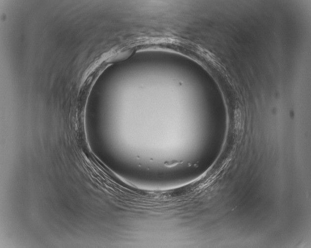 X0000054371165200508011213