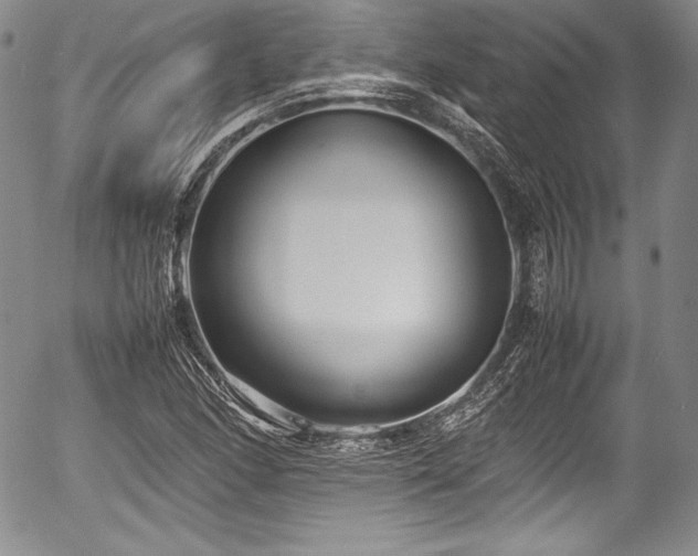 X0000054371166200508011213