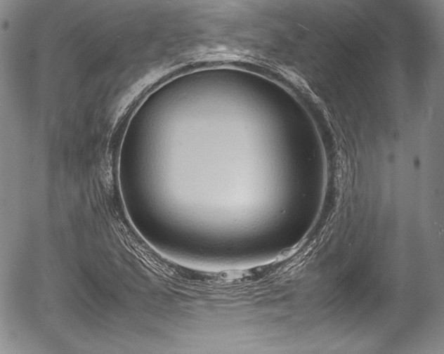 X0000054371167200508011213