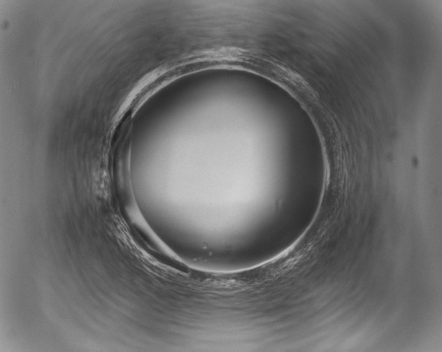 X0000054371168200508011213