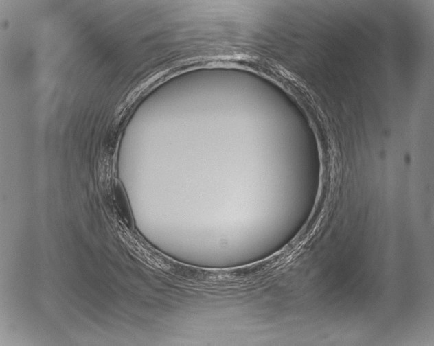 X0000054371169200508011213