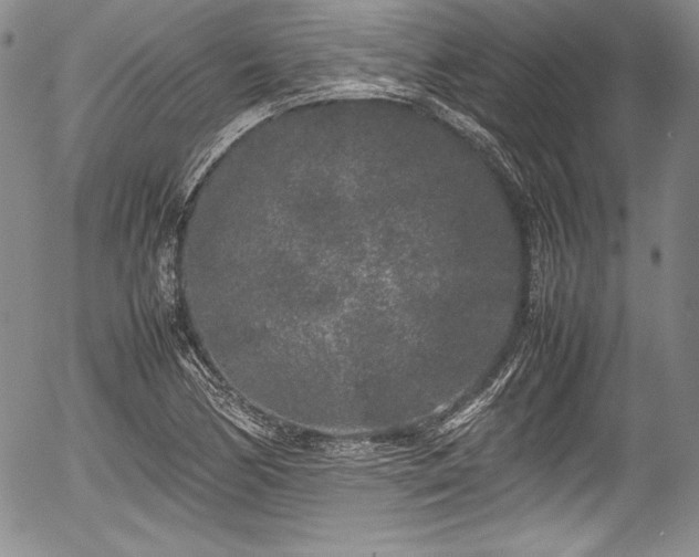 X0000054371170200508011213