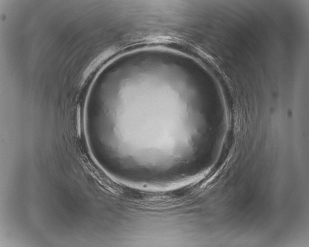 X0000054371171200508011212