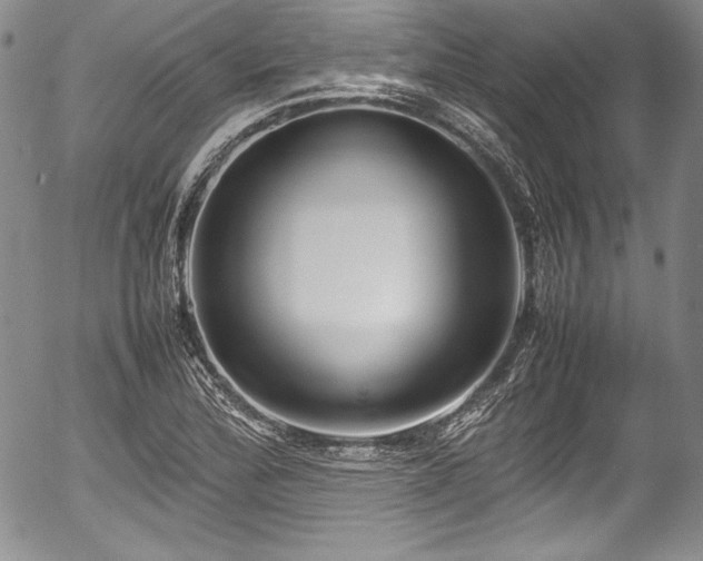 X0000054371172200508011212