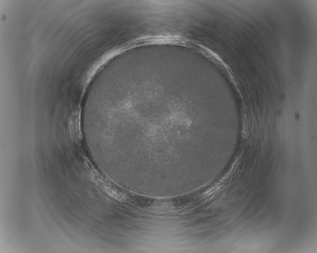 X0000054371174200508011212