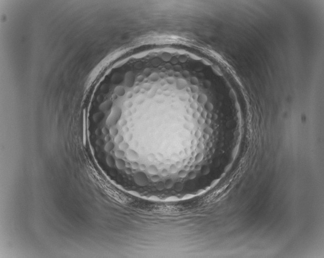 X0000054371175200508011212