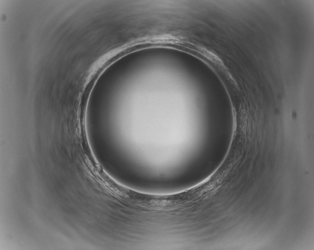 X0000054371176200508011212