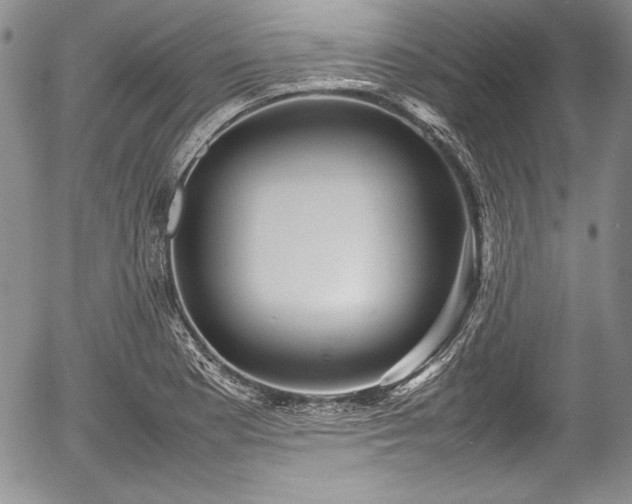 X0000054371177200508011212