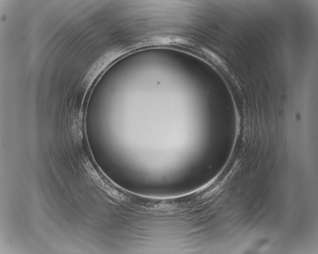 X0000054371178200508011212