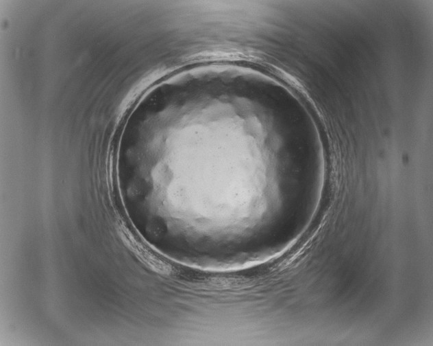 X0000054371179200508011212