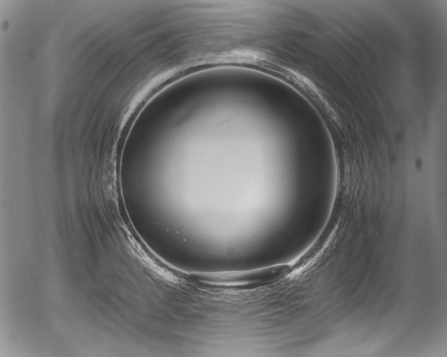 X0000054371184200508011212